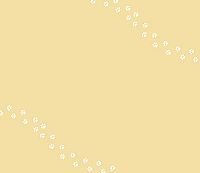 Vier Pfoten für ein Happy End, 2