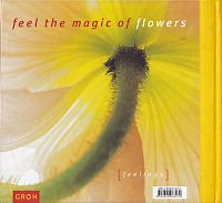 Feel the magic of flowers, 1