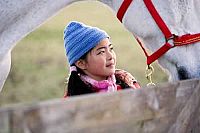 Wo ist Winkys Pferd? [DVD], 2