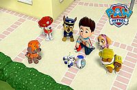 Paw Patrol - Robo-Hund im Einsatz [DVD], 8