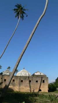 Faszination Insel - Sansibar  [DVD], 7