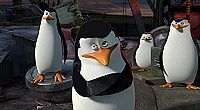 Madagascar 3 - Bons baisers d'Europe [DVD], 5