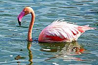 Erlebnis Natur 3D [Blu-ray], 2