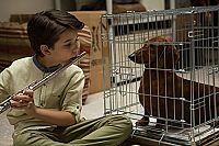 Wiener Dog [DVD], 6