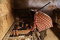 Bloody Summer - Schrei. Lauf. Stirb.  [DVD], 2