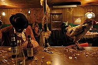 Beasts of the Southern Wild [Blu-ray], 5