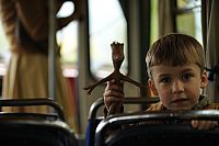 Mein Freund Knerten [DVD], 5