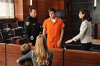 The Good Wife - Staffel 3.1 [DVD], 5