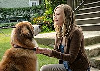 Bailey - Ein Freund fürs Leben [Blu-ray], 9