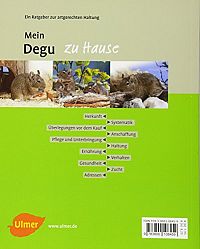 Mein Degu zu Hause, 1