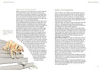 Macho oder Mimose, 2