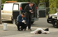 CSI: Las Vegas - Staffel 5 [DVD], 2