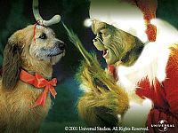 Der Grinch [DVD], 3