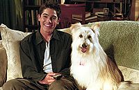 Eine himmlische Familie - Staffel 8 [DVD], 3