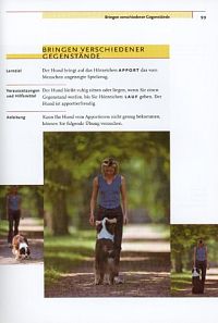 Erziehungsspiele für Hunde, 2