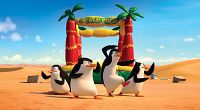 Les pingouins de Madagascar [DVD], 9