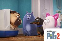 Pets 2 [DVD], 7