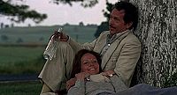 Apportez-moi la tête d'Alfredo Garcia [DVD], 3