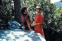 Falcon Crest - Staffel 1 [DVD], 6