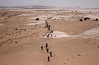 Mediterranea [DVD], 2