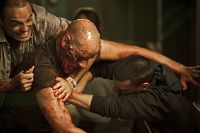 REC 4 - Apocalypse [DVD], 4