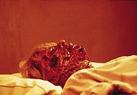 Die Fürsten der Dunkelheit [DVD], 2