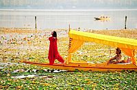 Mission Kashmir [DVD], 5