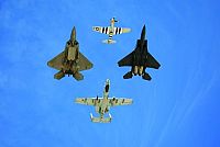 Fliegen - Urtraum der Menschheit [DVD], 7