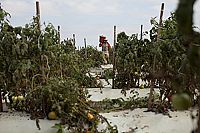 Fair Food - Genuss mit Verantwortung [DVD], 2