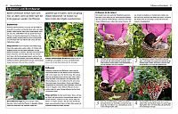 Gärtnern ohne Garten, 2