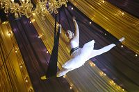 Sophie & Shiba [Blu-ray], 8