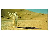 Lawrence d'Arabie [DVD], 1