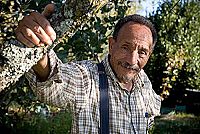 Pierre Rabhi au nom de la Terre [DVD], 2