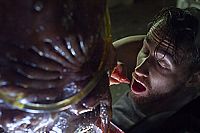 Strange Blood [DVD], 2