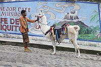 Auf den Spuren des Marsupilami [Blu-ray], 3