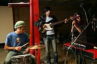 Niemand kennt die Persian Cats (OmU) [DVD], 2