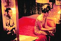 In the Mood for Love [DVD], 2