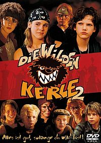 Die wilden Kerle 2 [DVD], 1