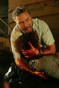 CSI: Las Vegas - Staffel 9 [DVD], 3