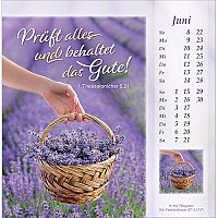 Licht vom unerschöpften Lichte 2025, 6