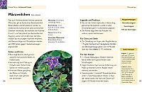 Handbuch Kräuter - Über 100 Pflanzen für Gesundheit, Wohlbefinden und Genuss, 4