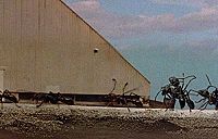 In der Gewalt der Riesenameisen [DVD], 2