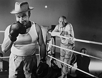 Der Lügner [DVD], 2