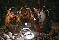 Alien vs. Predator [DVD], 3