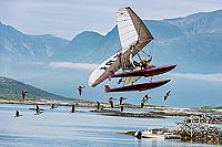 Der Junge und die Wildgänse [DVD], 7