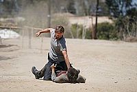 Anderson Falls - Ein Cop am Abgrund [DVD], 4