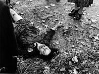 Jagdszenen aus Niederbayern [DVD], 4