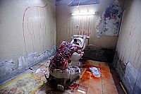 Cabin Fever 1-3 [DVD], 2