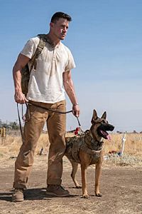 Dog - Das Glück hat vier Pfoten [DVD], 1