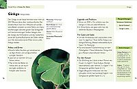 Handbuch Kräuter - Über 100 Pflanzen für Gesundheit, Wohlbefinden und Genuss, 3